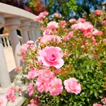 Fuege Luxury & Wellness Balatonfüred