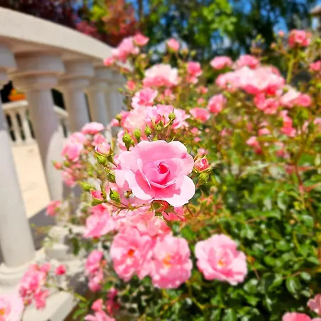 Fuege Luxury & Wellness Balatonfüred