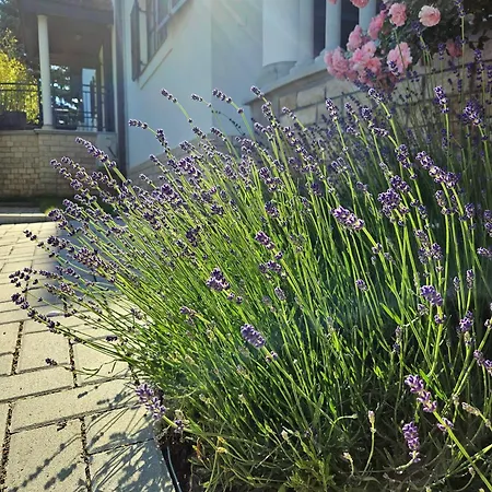 Fuege Luxury & Wellness Penzion Balatonfüred